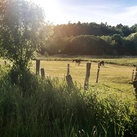 Lejlighed De Ole School Ferienapartments Medium-apartment 02 , Huus Stranden *