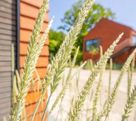 De Ole School Ferienapartments Medium-apartment 02 , Huus Stranden Lejlighed Hohwacht